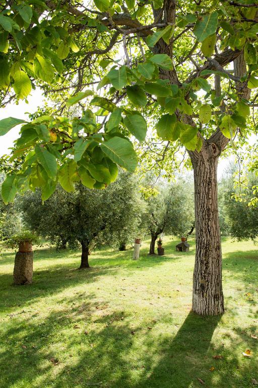 Il Casale Degli Ulivi B&B Ascoli Piceno Exteriör bild